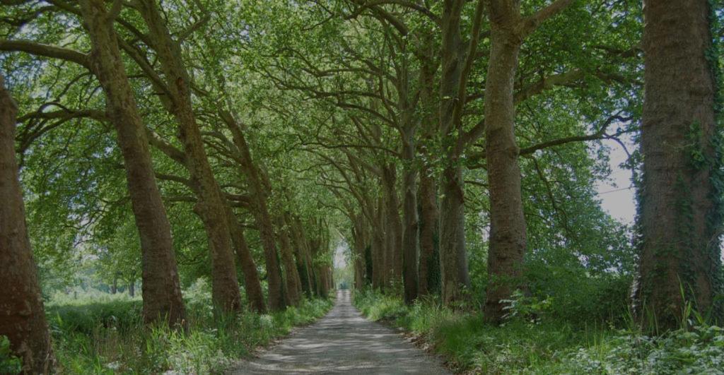 Chateau Le Quesnoy Chevrieres  Kültér fotó